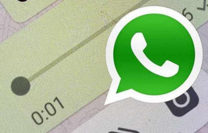 WhatsApp Message Reaction Feature